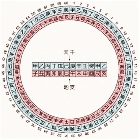 1977 天干地支|天干地支对照表